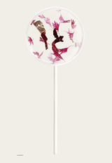 Blütenlolli "Exotic Crush"