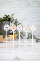 Motivlolli Set Babytiere 10 Stk